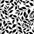 Seamless endless pattern. Silhouette of branches with leaves isolated on white background Royalty Free Stock Photo